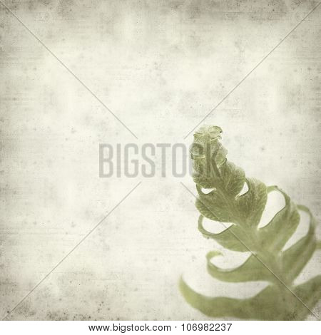 Textured Old Paper Background