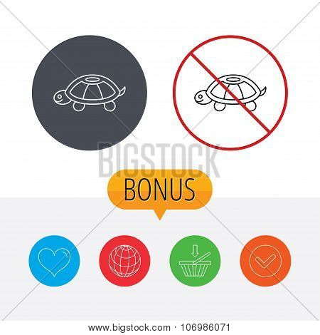 Turtle icon. Tortoise sign.