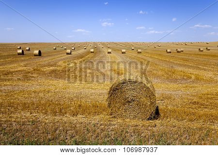 haystacks straw . summer