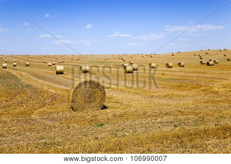 haystacks straw  . summer