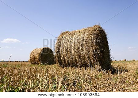 haystacks straw . summer