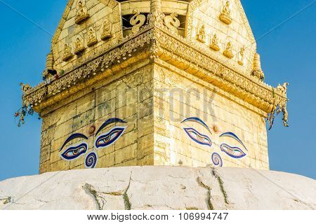 Lord Buddha's eyes.