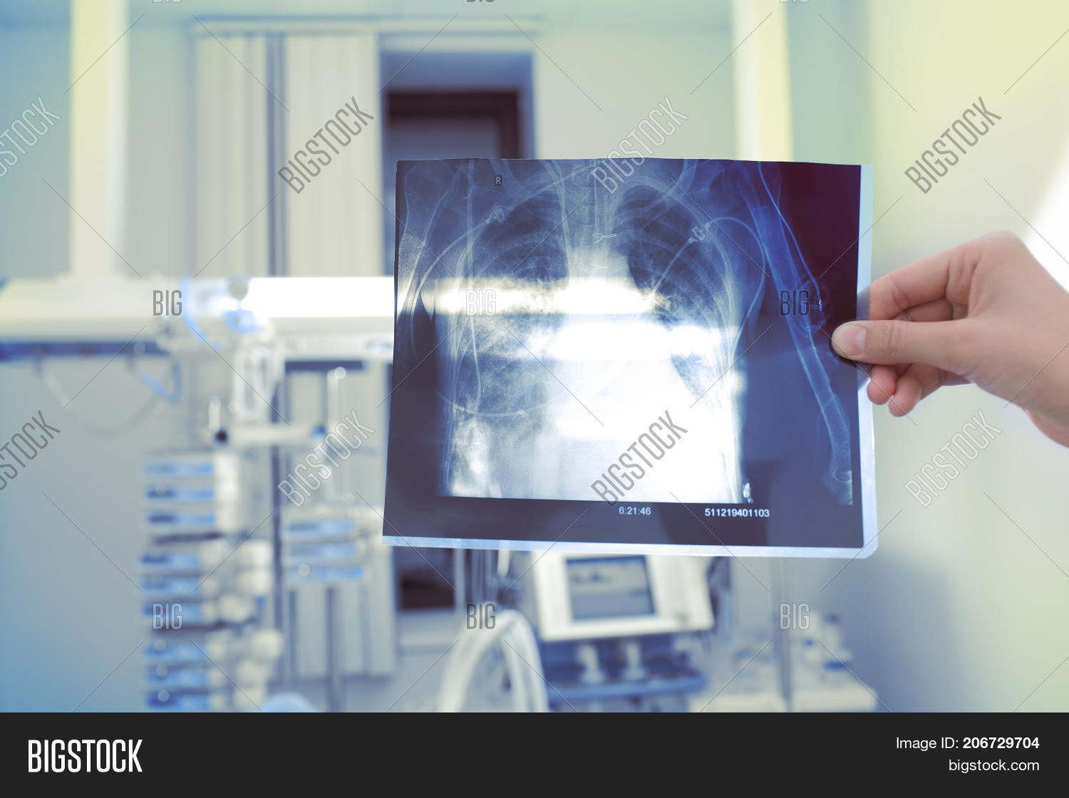 Xray Image Doctors Image & Photo (Free Trial) Bigstock