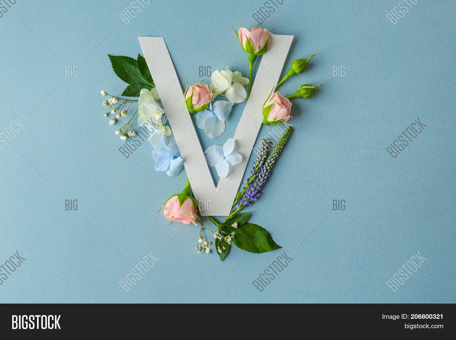 Composition Letter V Image Photo Free Trial Bigstock