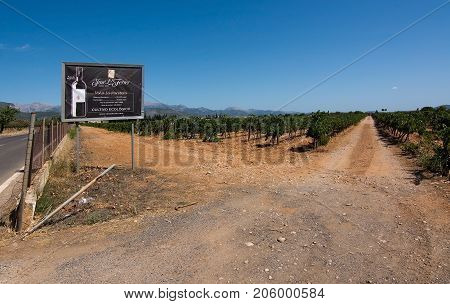Jose L. Ferrer Vineyard