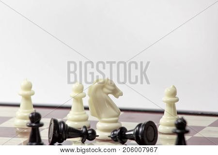 chess white horse wins pawns. concept of struggle. isolated on white background