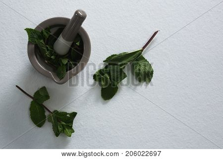 Holy basil in mortar pestle on white background