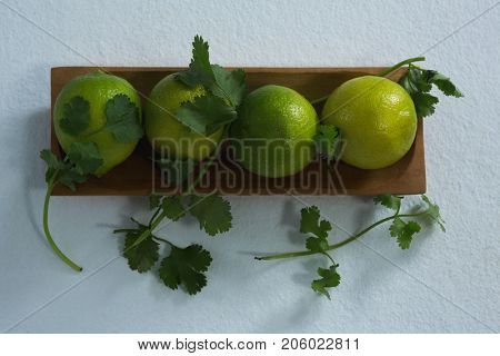 Sweet limes and coriander in tray on white background