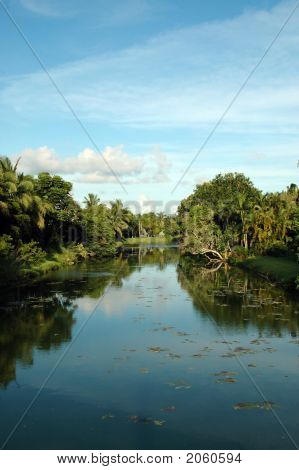 Canal à Miami avec végétation