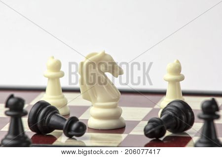 chess white horse wins pawns. concept of struggle and leadership. isolated on white background