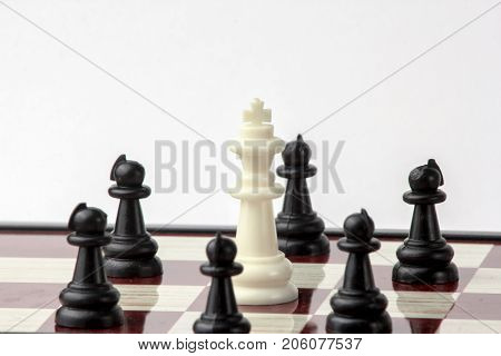 chess white queen surrounded by black pawns. concept of struggle. Isolated on white background.