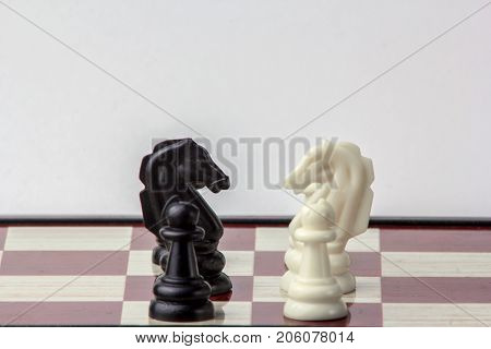 chess black and white pawns face to face. concept of struggle. Isolated on white background.