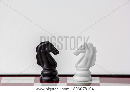 chess black and white pawns face to face. concept of struggle. Isolated on white background.