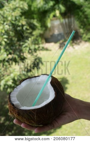 Closeup woman's hand holding coconut with green starw isolated over blurred green tropical garden background