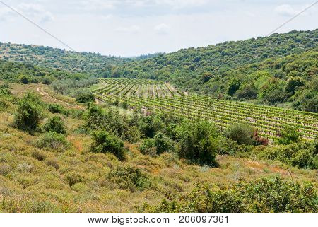 View on biblical landscape, Judean Hills near Beit Shemesh. Israel