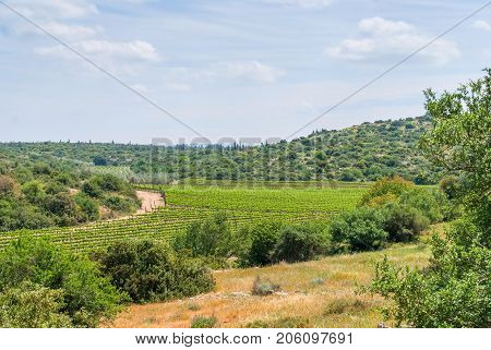View on biblical landscape, Judean Hills near Beit Shemesh. Israel