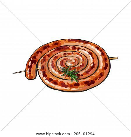 Freshly grilled, barbequed Cumberland sausage rolled in coil, sketch style vector illustration on white background. Realistic hand drawing of grilled, fried, barbequed Cumberland sausage