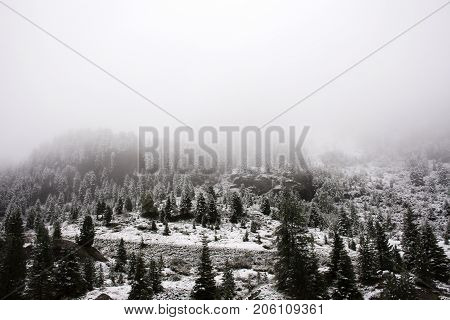 View Landscape Snow Snowing Covered On Alpine Tree At Top Of Mountain In Kaunergrat Nature Park
