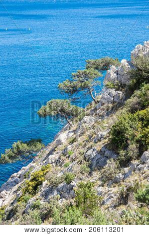 The Calanque de Morgiou one of the biggest calanques located between Marseille and Cassis France