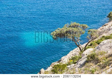The Calanque de Morgiou one of the biggest calanques located between Marseille and Cassis France