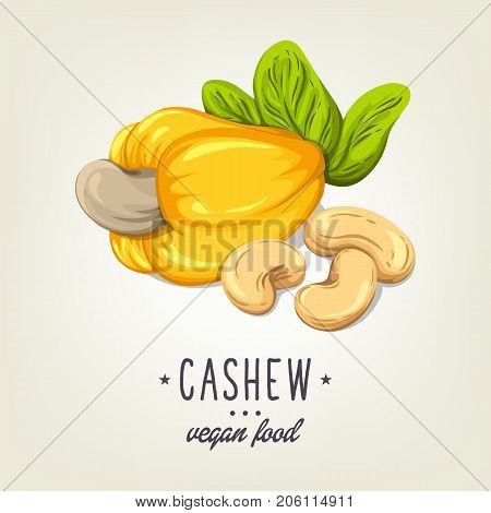 Colourful cashew icon isolated on background. Vector sketch of realistic nut with leaves and seeds. Drawn vegan plant good for recipe book, booklet, card, menu or banner design.