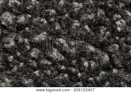 background of astrakhan . Photo of an abstract texture