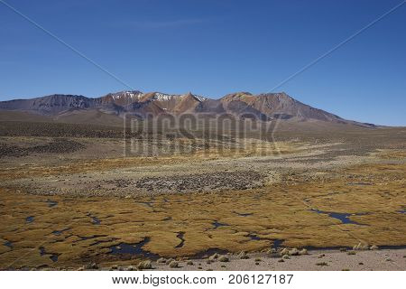 The altiplano, around 4000 metres above sea level, in Lauca National Park, Chile. In the foreground is a wetland area known locally as a bofedal, beyond are the colourful slopes of an extinct volcano.