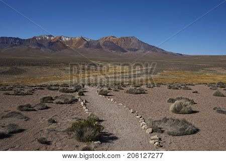 The altiplano, around 4000 metres above sea level, in Lauca National Park, Chile. In the foreground is a wetland area known locally as a bofedal, beyond are the colourful slopes of an extinct volcano.