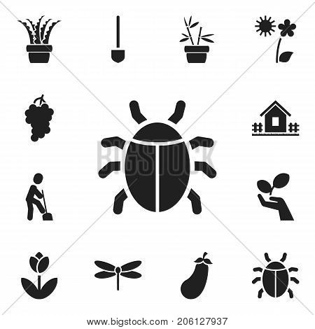 Set Of 12 Editable Agriculture Icons. Includes Symbols Such As Home With Fence, Beetle, Flowerpot And More