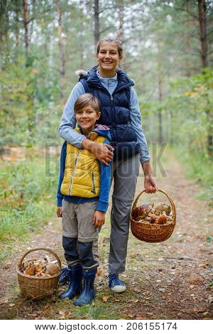 Mushrooms picking, season for mushrooms - lovely girl and boy with picked fresh edible mushrooms in basket in the forest