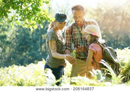 Family on rambling day looking at forest plants and trees