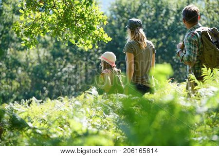 Family on a rambling day in countryside