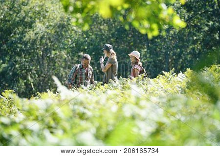 Family on a rambling day in countryside
