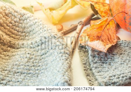 Autumn Decoration Pumpkin knitted Cap and leaves
