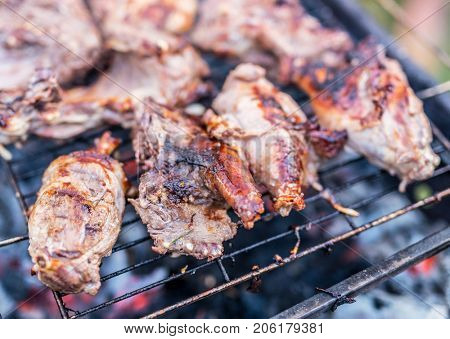 Nutria meat on grill.