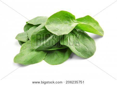Fresh spinach leaves on white background