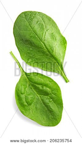 Fresh spinach leaves on white background