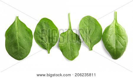 Fresh spinach leaves on white background
