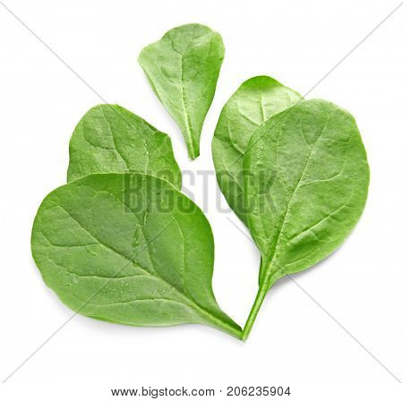 Fresh spinach leaves on white background