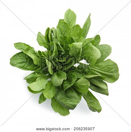 Fresh spinach leaves on white background