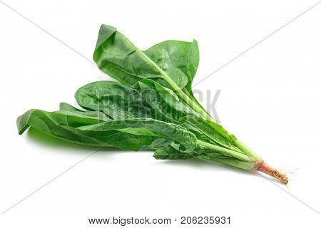 Fresh spinach leaves on white background