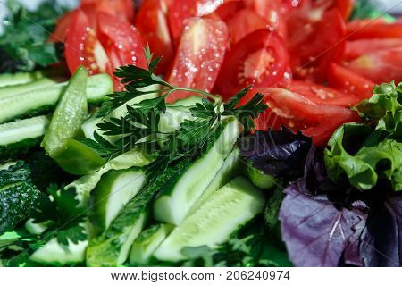 Sliced tomatoes and cucumbers with bazil and lettuce lie on a plate