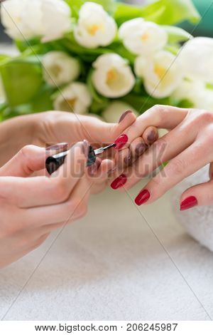 Close-up of the hands of a skilled manicurist applying elegant red nail polish on the medium length nails, of a young woman in a trendy beauty salon