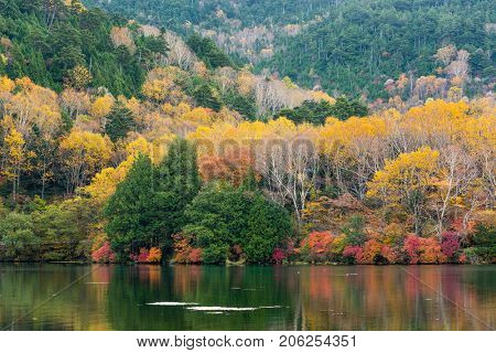 Autumn leaves at Yuno lake japan