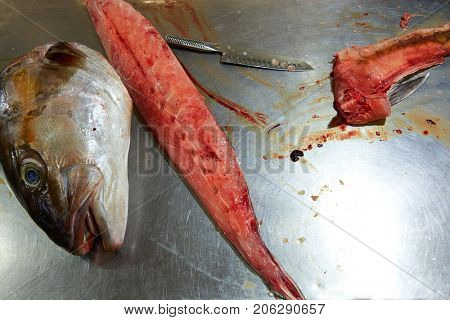 Amberjack fish head fillet process in stainless steel kitchen
