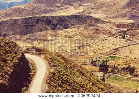 canyon Colca in Peru, South America