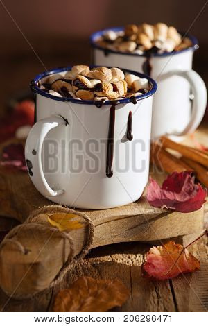 s'mores hot chocolate mini marshmallows cinnamon winter drink