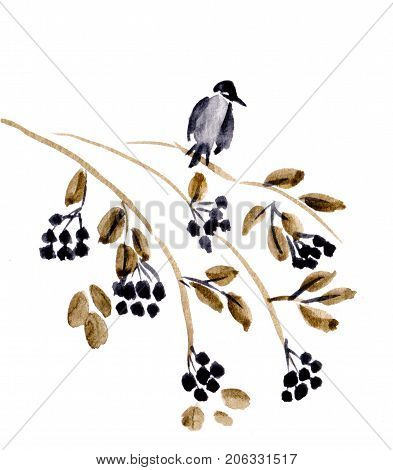 The bir on branch of mountain ashh, sumi-e