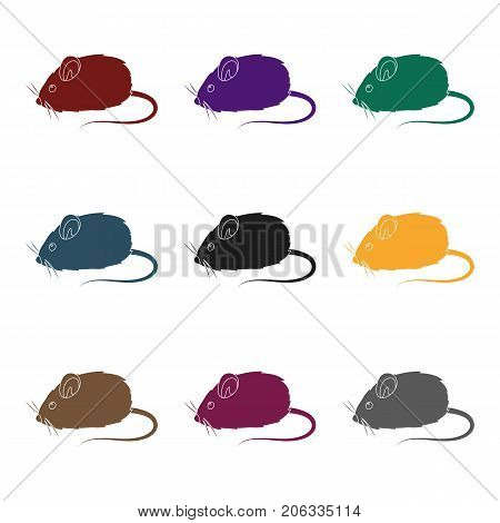 Mouse toy.Pet shop single icon in black style vector symbol stock illustration .
