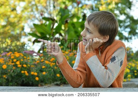 cheerful boy sitting at a table in the garden in autumn